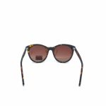 Dorko polarizált napszemüveg DRK8024 C3